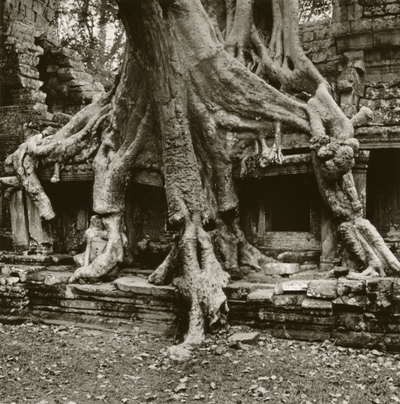 Cities of Eternity - Ta Prohm - Crushing Ancient Roots, Angkor
