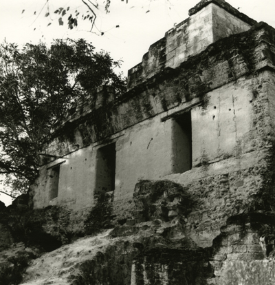 Cities of Eternity - Looking out over Time, Tikal